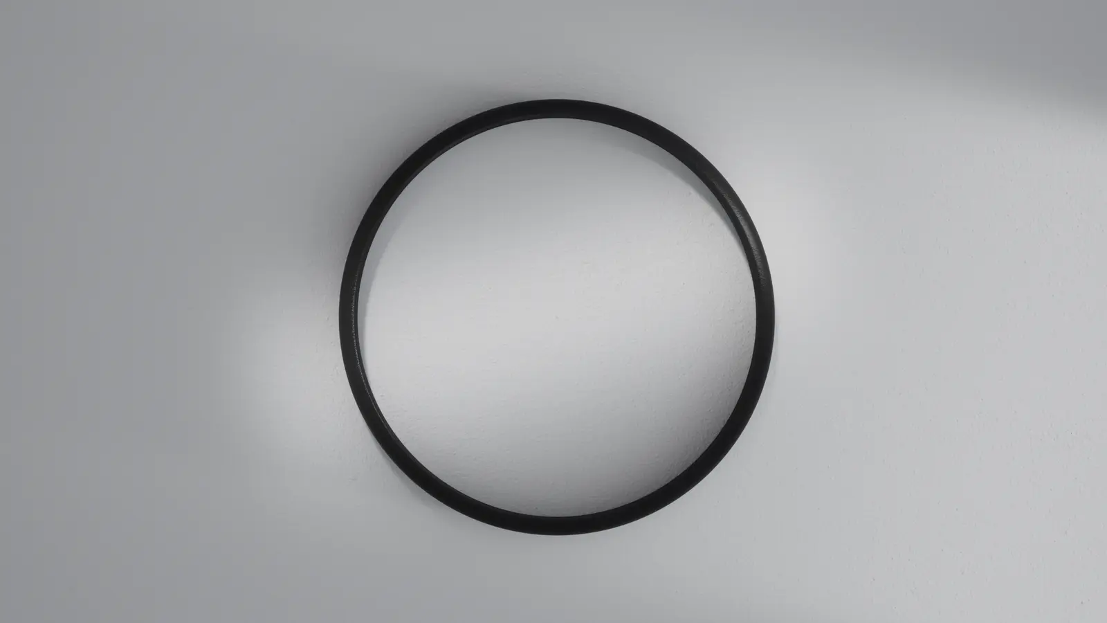 Seal: black TPE ring gasket